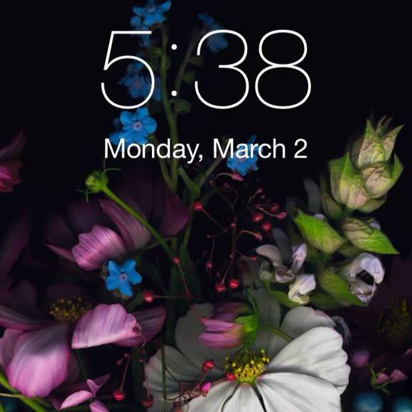 Meet your Posher, Samantha - Picture 1 of 1